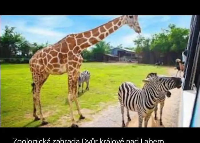 דירה V Podkrkonosi *